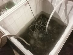 -军山湖云水间生态农业旅游景区