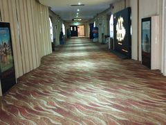 -武汉华夏国际影城(鲁广店)