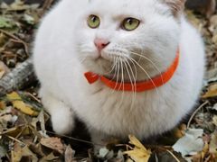 -萌兽医馆·犬猫专科·眼科中心·宠物医院(朝阳门分院)