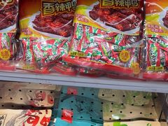 -舜华临武鸭·湖南零食特产(三王街店)