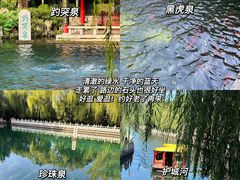-趵突泉景区