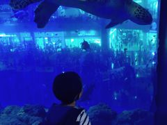 -成都浩海立方海洋公园