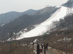 -骏途旅游