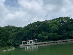 -广州市帽峰山景区