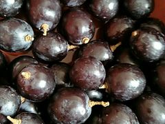 -百果园(芳华路店)