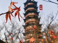-牛首山文化旅游区