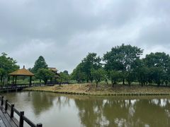 -宁波杭州湾国家湿地公园