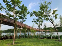 -昆山城市生态森林公园