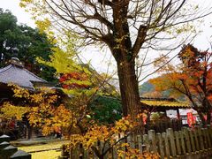 -城崎温泉 外七汤