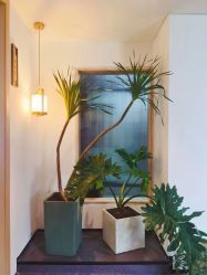 -吾之瑜生瑜伽普拉提学院