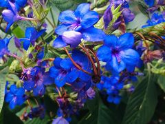 -华南国家植物园-售票处