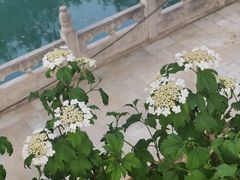 -南长河公园