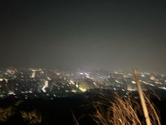 -长虫山生态公园风景林