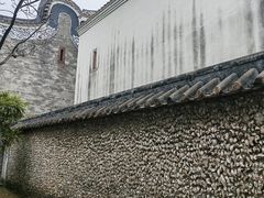 -碧江金楼