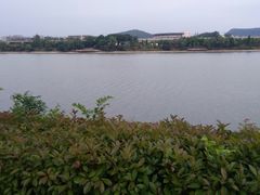 -羊山湖公园