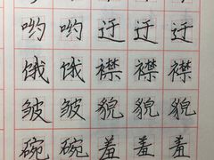 成品-赵汝飞练字(南京路国际贸易中心校区)