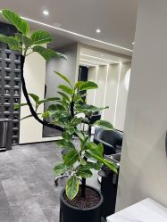 -凯博K-boom Hair Salon