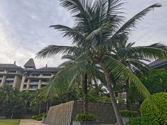 -海南清水湾莱佛士酒店