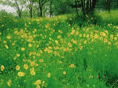 -盘龙城国家考古遗址公园