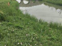 -嘉北郊野公园