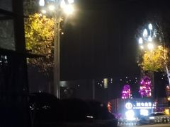 -重庆市江北嘴中央商务区中央公园