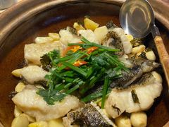 茶香砂锅焗龙胆鱼-茶宴·美食地标餐厅(沙坡尾店)