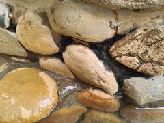 -汕头莲花山度假村温泉