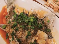 清蒸石斑-金海湾海鲜排档(朱家尖店)