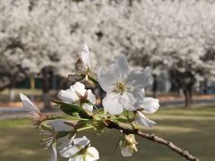 -同济大学(嘉定校区)