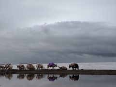 -青海湖国家重点风景名胜区