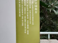 -成都市活水公园