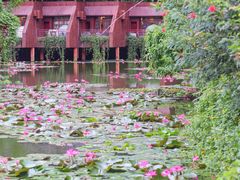 -野象谷景区