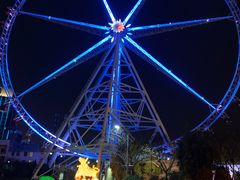 -锦江乐园舞狸花花游园会(夜场专享)