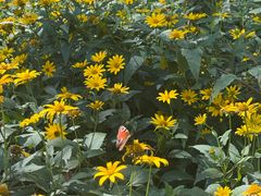 -玉渡山自然风景区