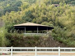 -宁海安岚·南溪阁全日餐厅