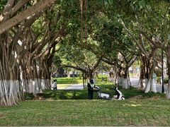 -厦门大学(思明校区)