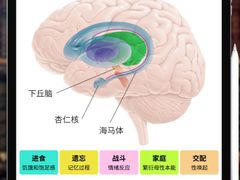 -壹点灵·心理咨询中心(中山公园店)
