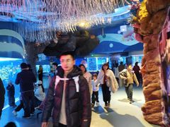 -海合安成都极地海洋公园