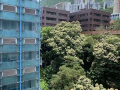 -香港大学