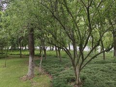 -云龙湖旅游景区