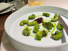 芥末青酱八爪鱼-CHIC1699远洋私厨