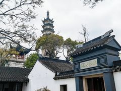 -苏州上方山国家森林公园
