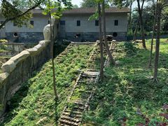 -中国大熊猫保护研究中心雅安碧峰峡基地