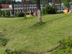 -铁山坪森林公园