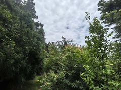 -四明山国家森林公园