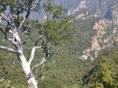 -神农山景区