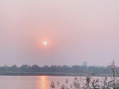 -绿堤公园