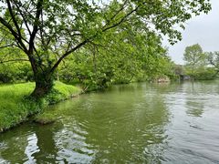 -西溪国家湿地公园