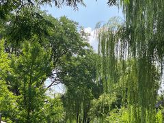 -三里河公园