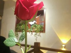 -LA CREPERIE BRETONNE布列塔尼法式餐厅(天童北路店)
